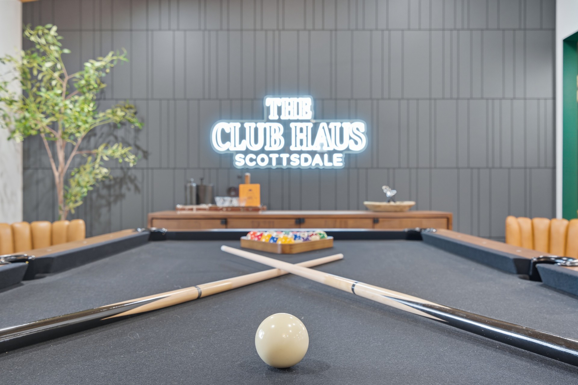 CACTUS + COCKTAILS- AZ interior 1