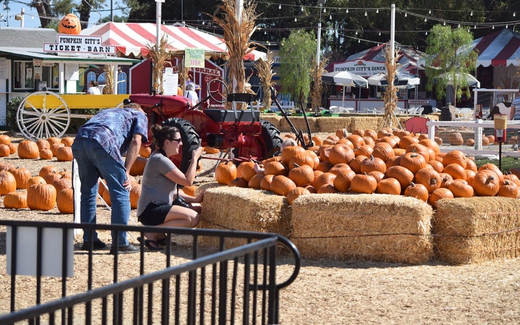 Pumpkin City seasonal display at the former Laguna Hills Mall in October 2017