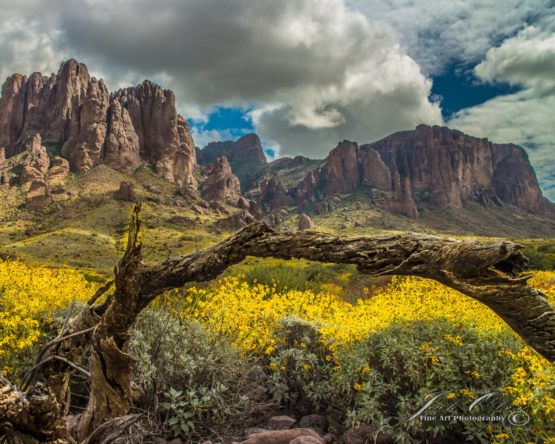 Lost Dutchman Realty gallery