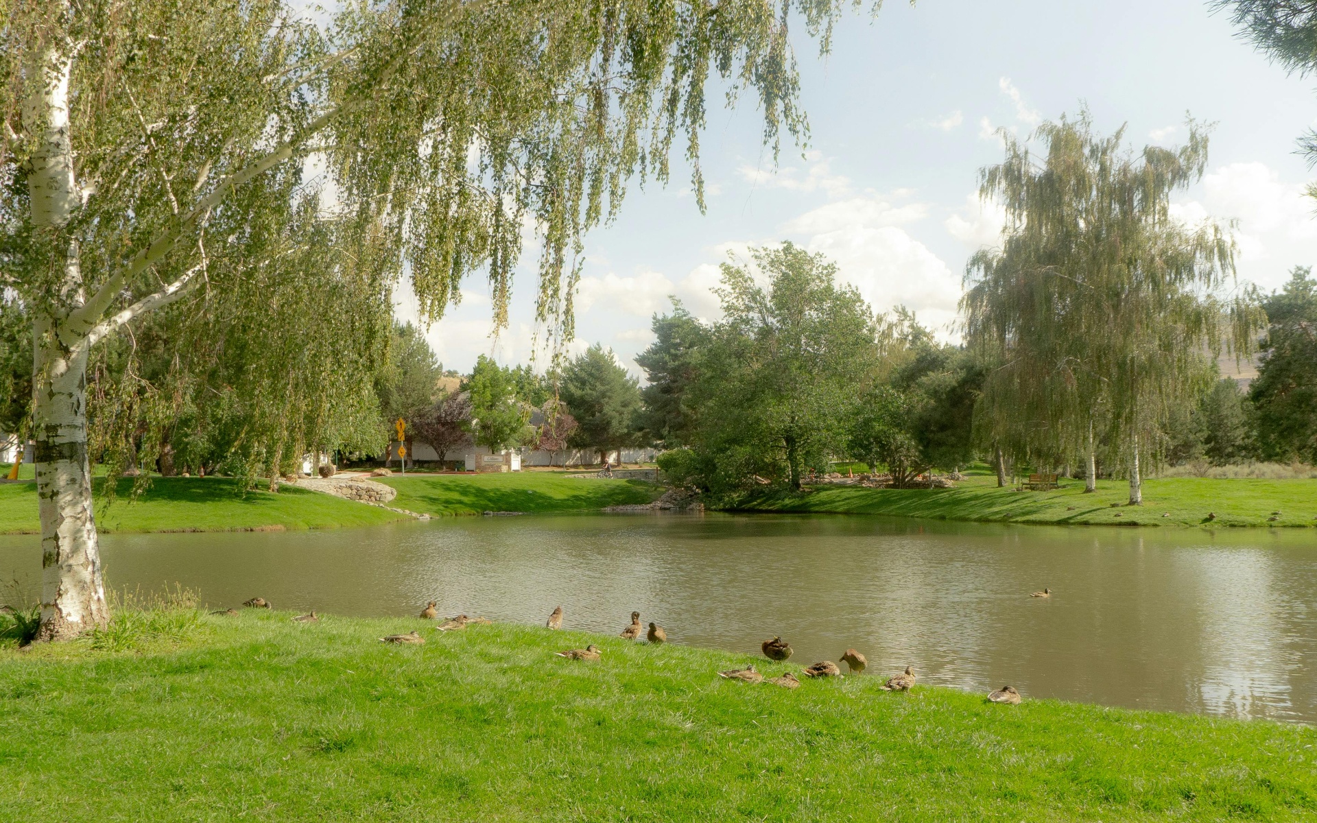 Holcomb Ranch Area