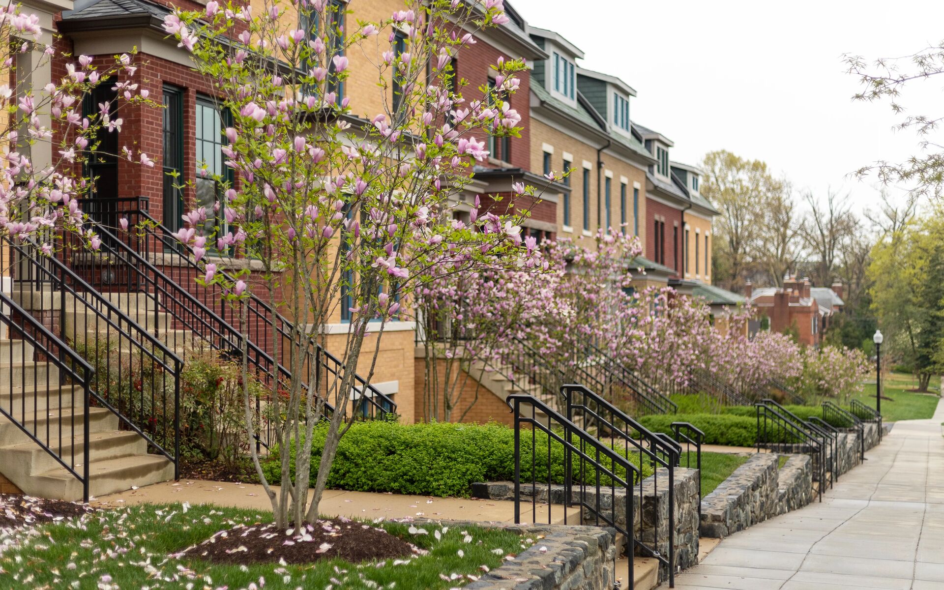 Georgetown