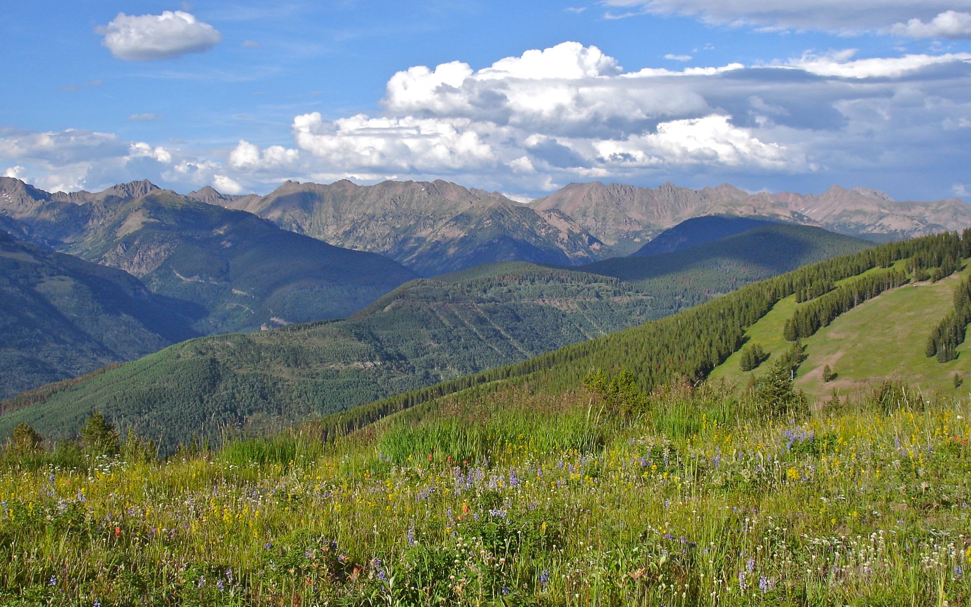 Vail image