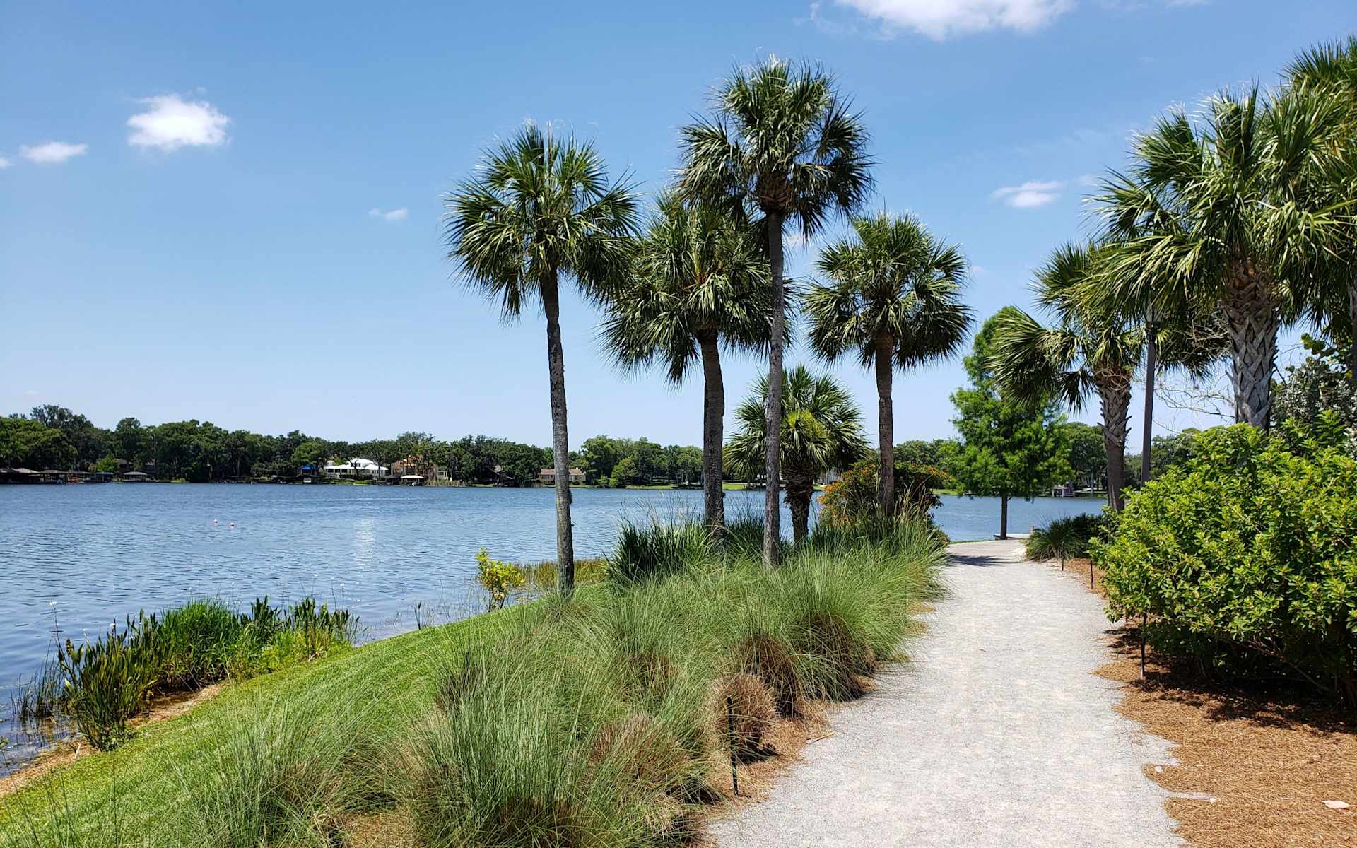 Neighborhood Guides | Florida One Real Estate