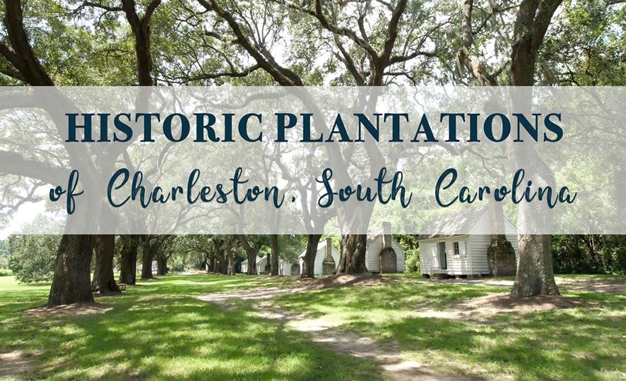 Historic Plantations of Charleston