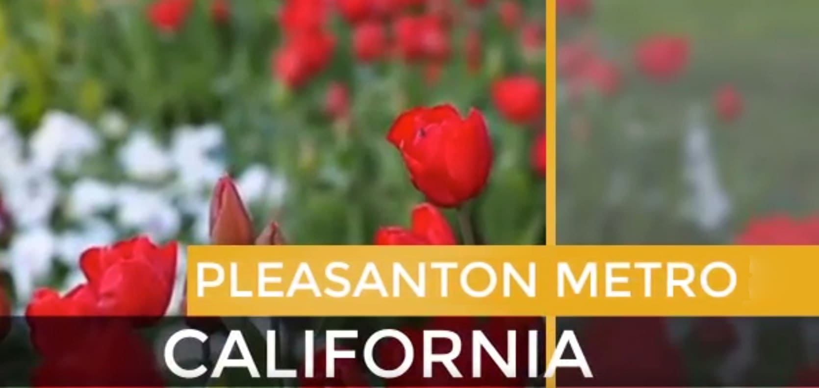 Pleasanton Metro