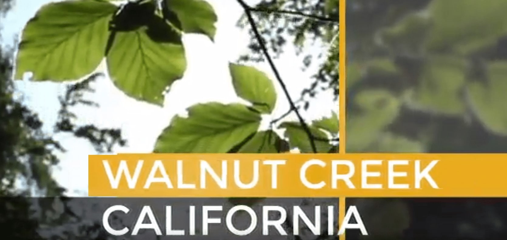 Walnut Creek
