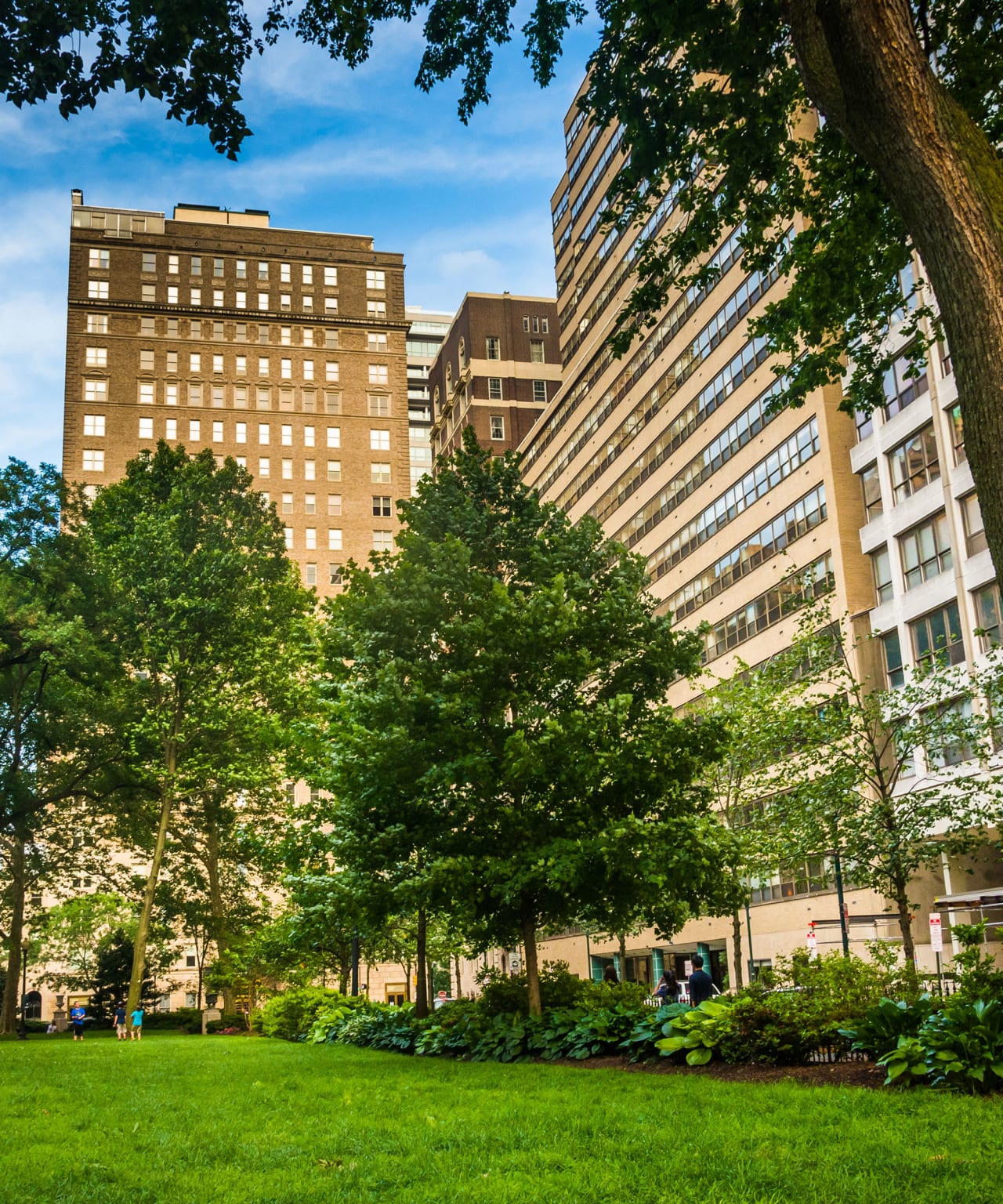 A serene urban oasis with lush green trees and a manicured lawn, bathed in warm afternoon sunlight.