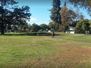 Marijane Hamann Park