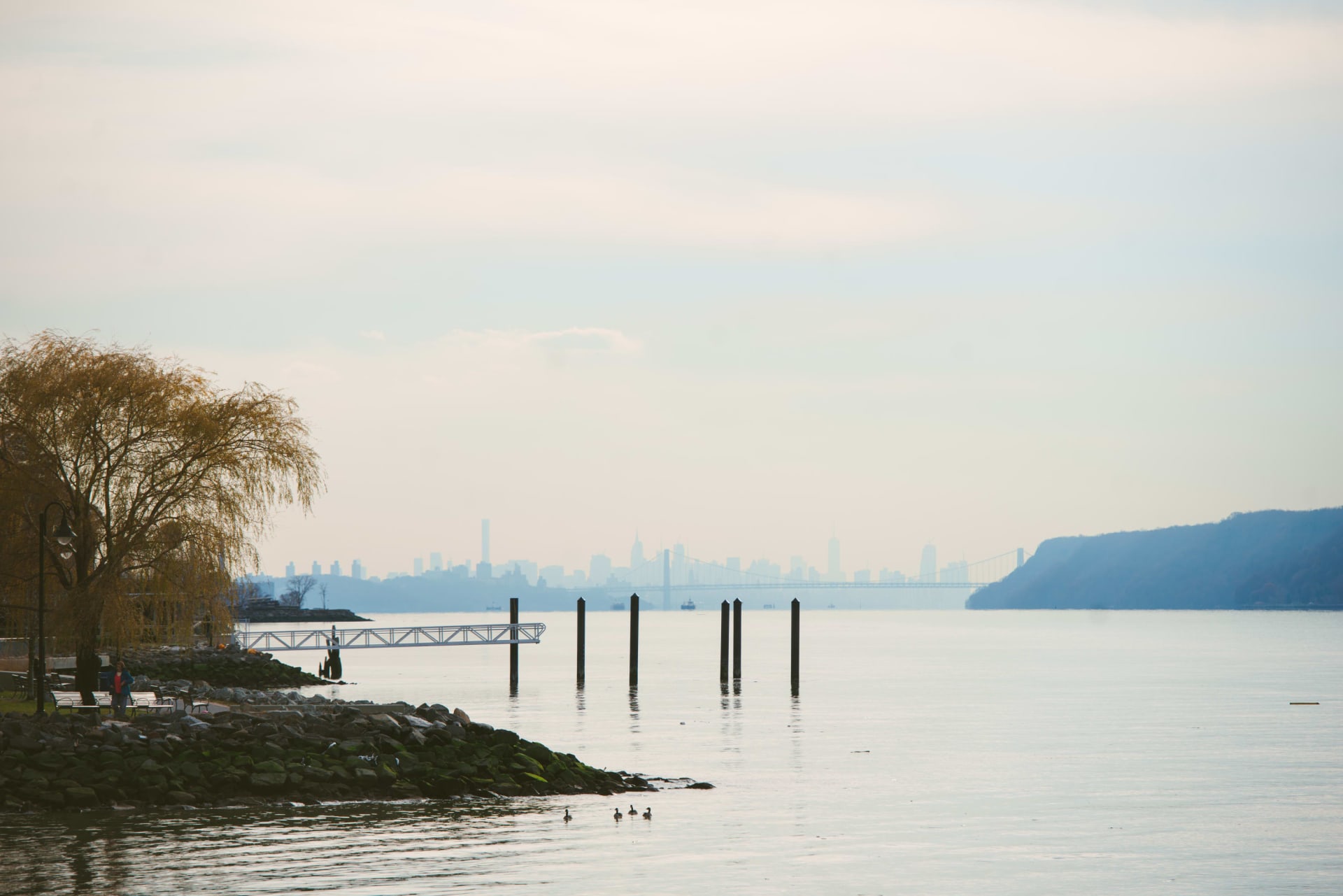About Dobbs Ferry | The Dobbs Team | Cedar Commons