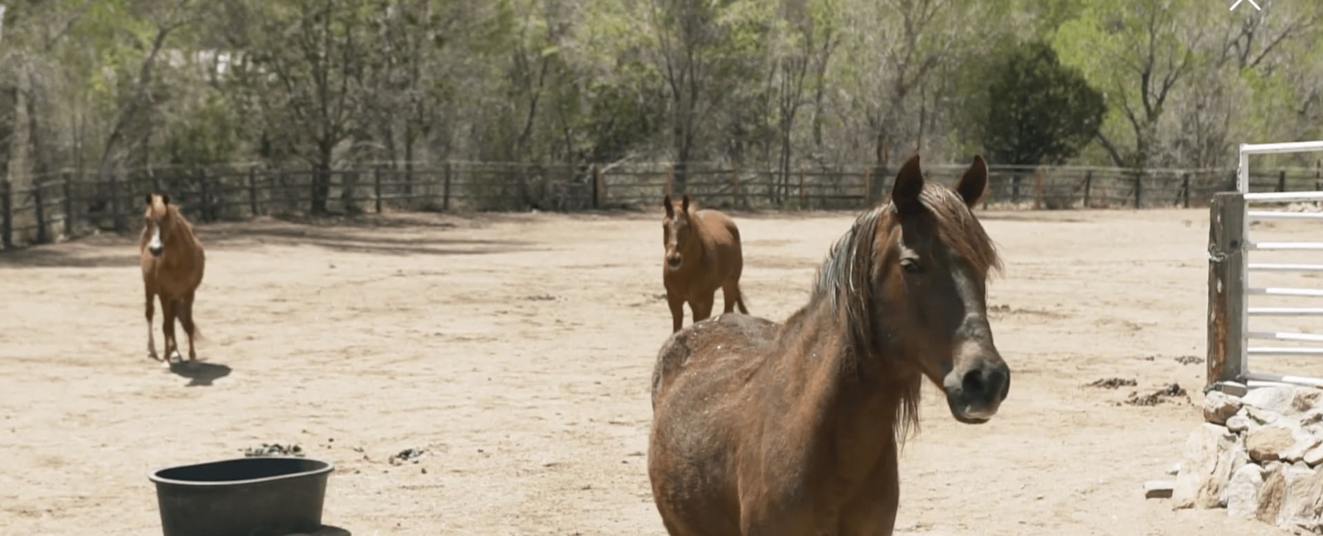 Santa Fe Horse Property Experts 