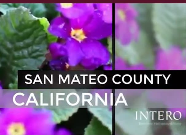 June 2022 San Mateo County Market Update