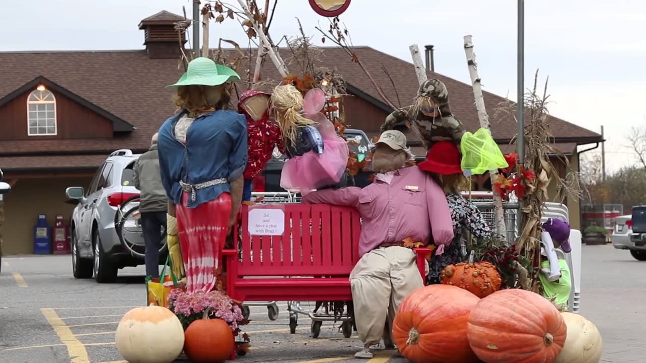 Muskoka Neighbourhood Video