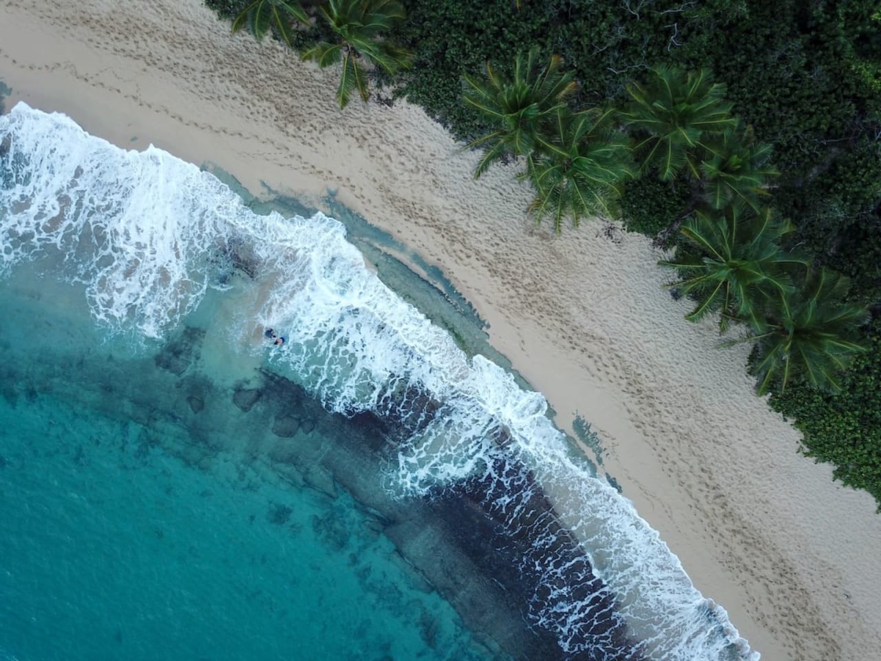 Aerial view of turquoise waters washing onto a sandy beach lined with palm trees.