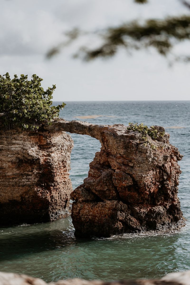 Natural rock arch formation by the sea with some greenery on top.