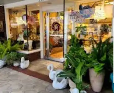 Downtown Boutiques