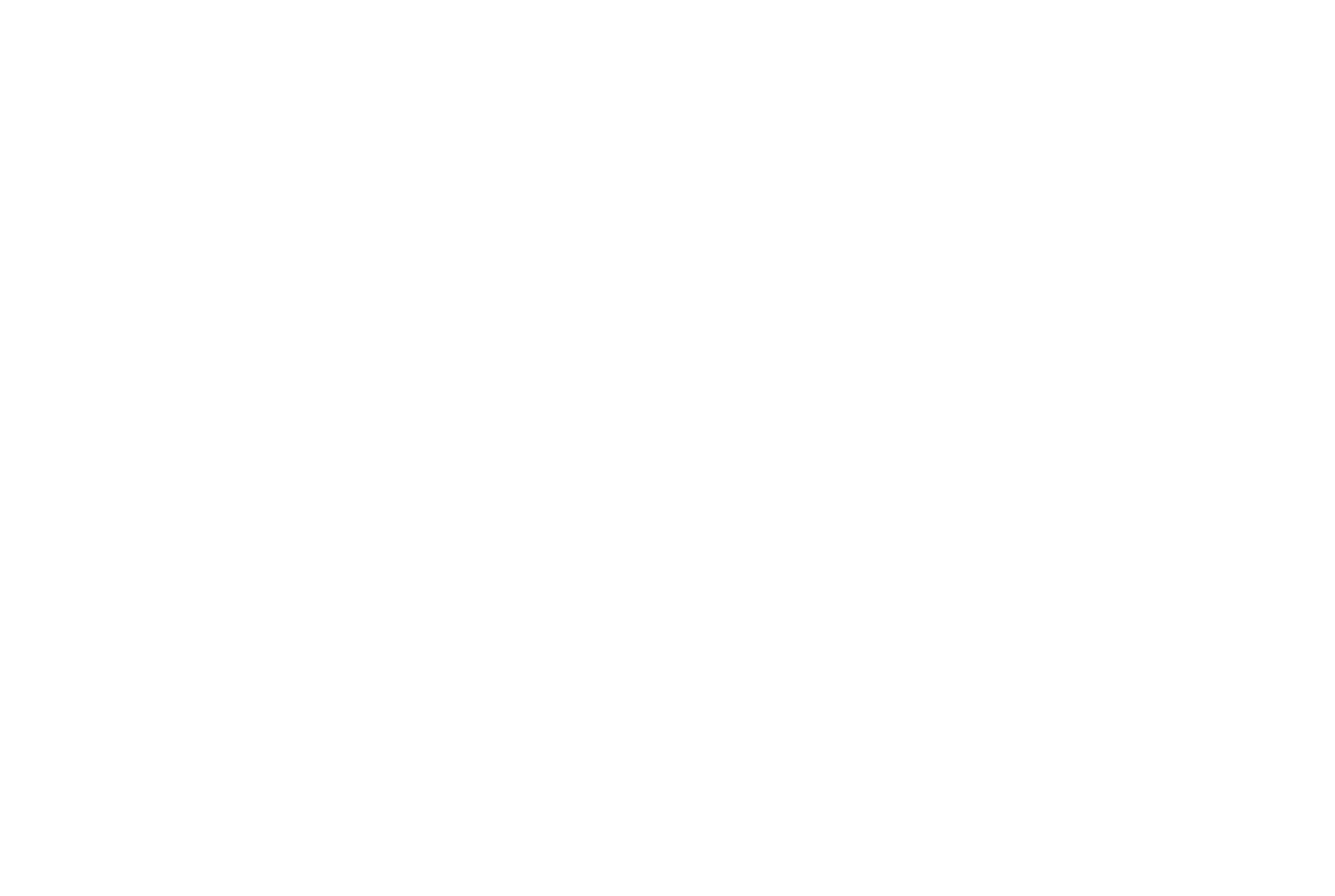 SK Fine Homes