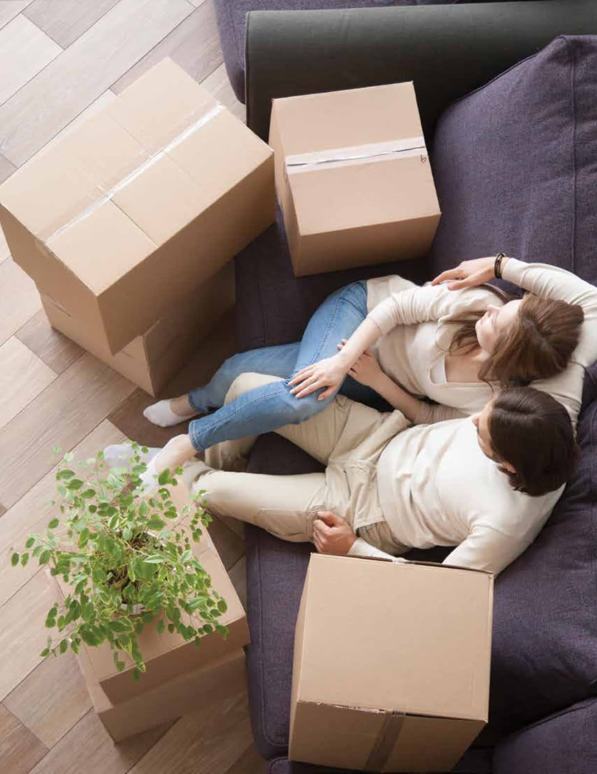 Two people relax on a sofa surrounded by moving boxes and a potted plant.