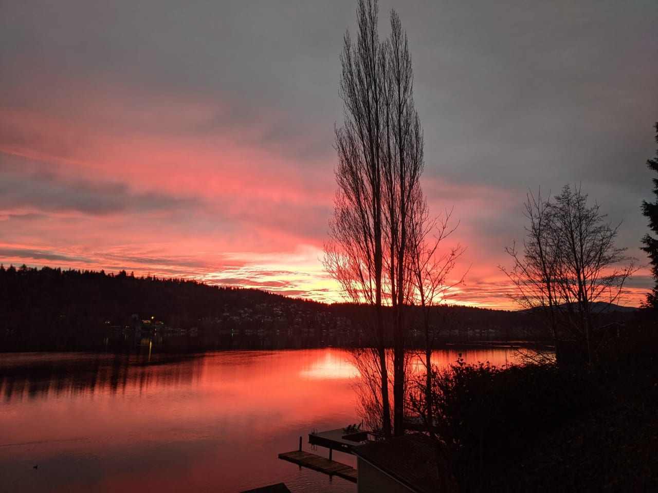 A beautiful sunset over a lake with a tree in the foreground