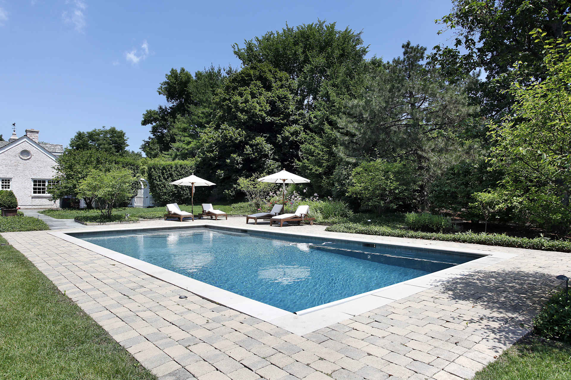 Backyard swimming pool with a stone patio, white loungers, umbrellas, and mature trees.