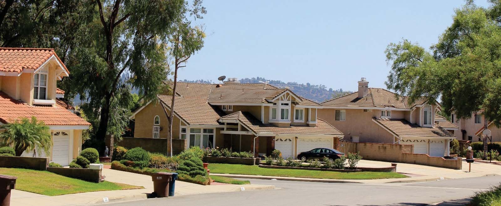 Established Walnut detached homes pictured in the 2018 General Plan