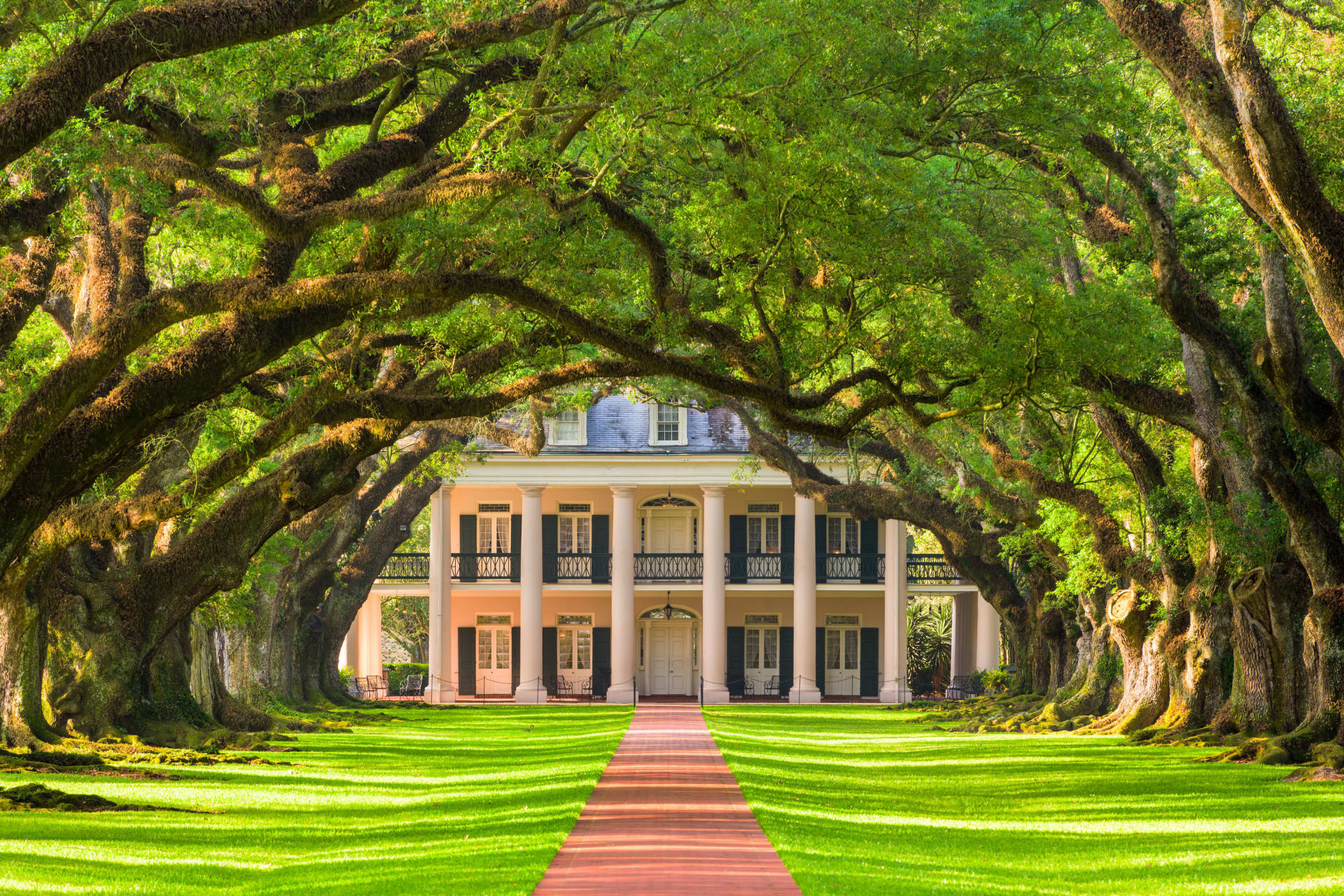 Columned Southern-style home framed by sprawling live oaks at the end of a brick walkway.