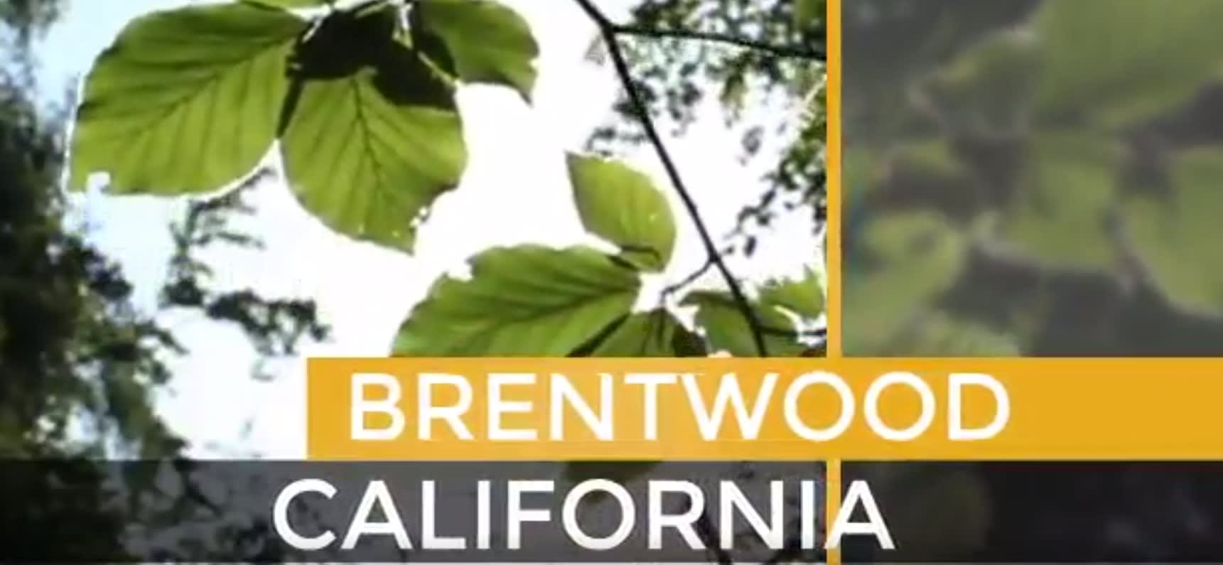 Brentwood Metro
