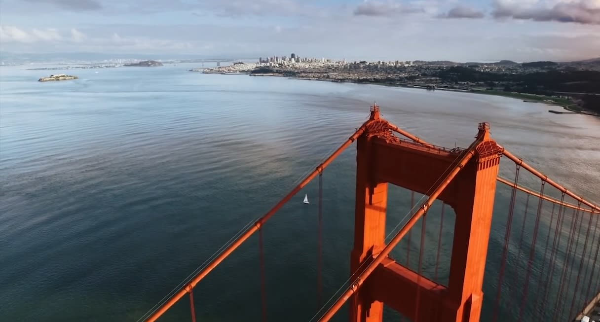 Bay Area Video