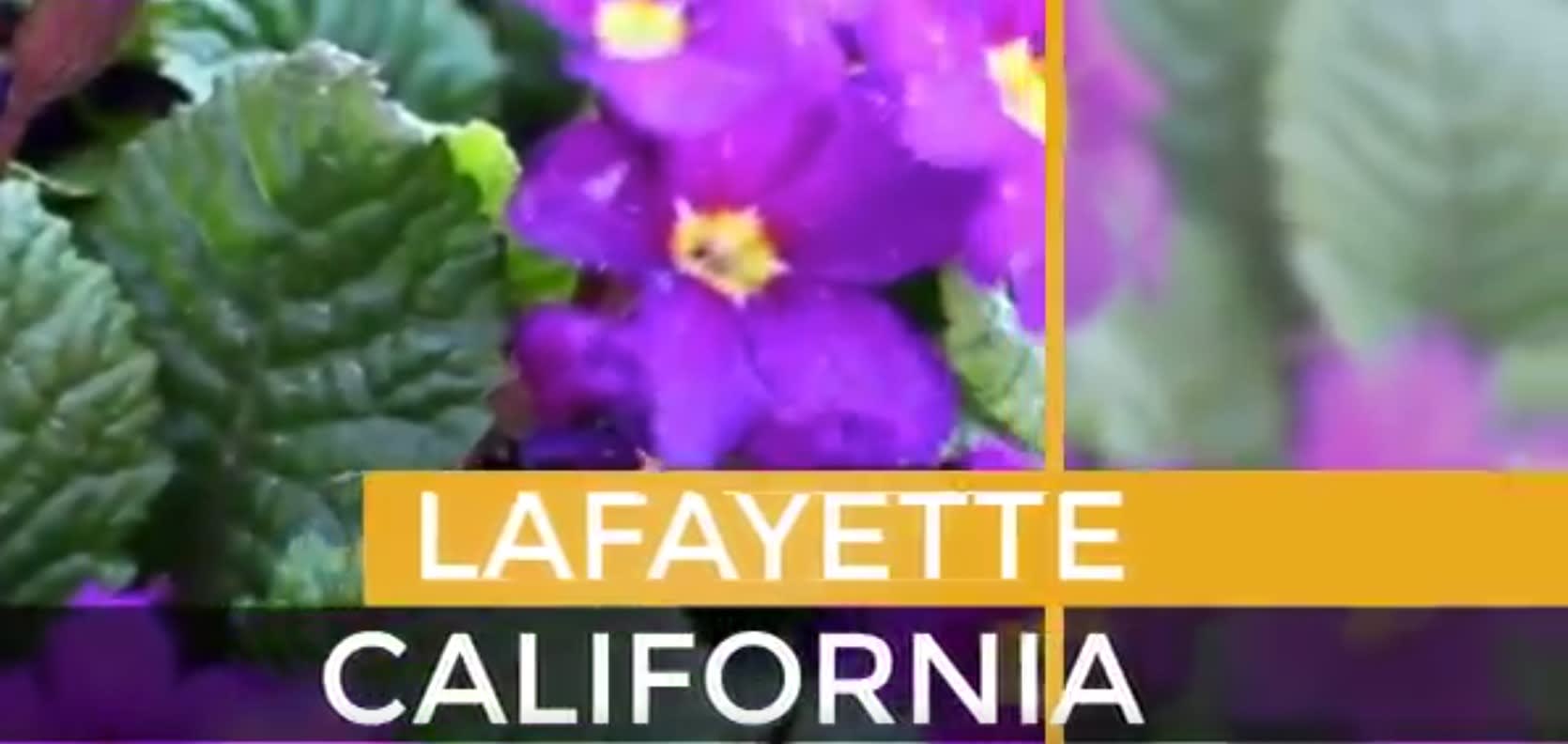 Lafayette