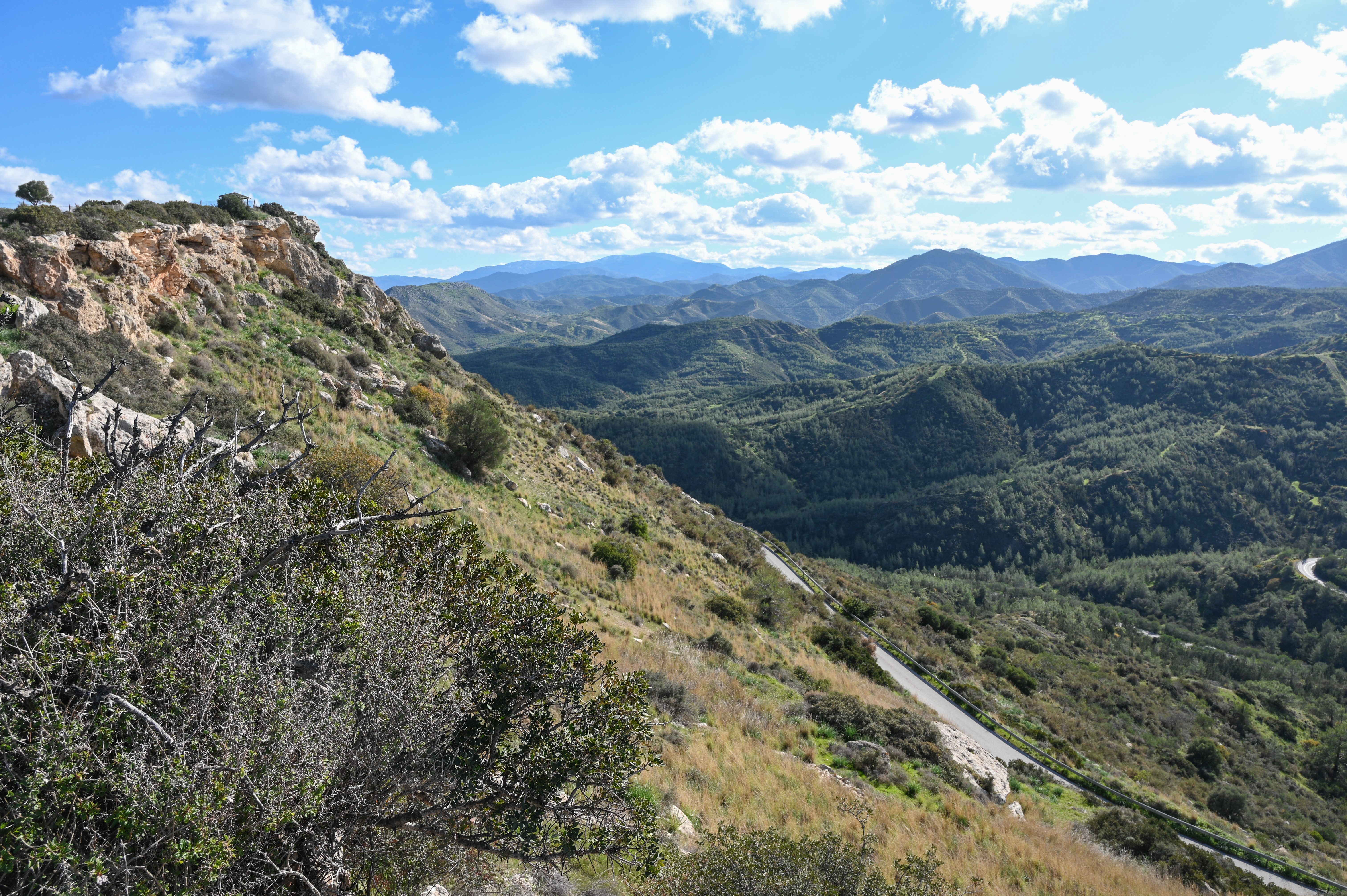 Topanga Canyon