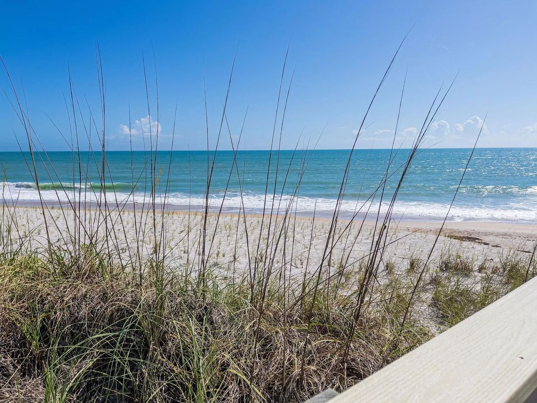Sea oats and dunes on the Vero Beach shoreline