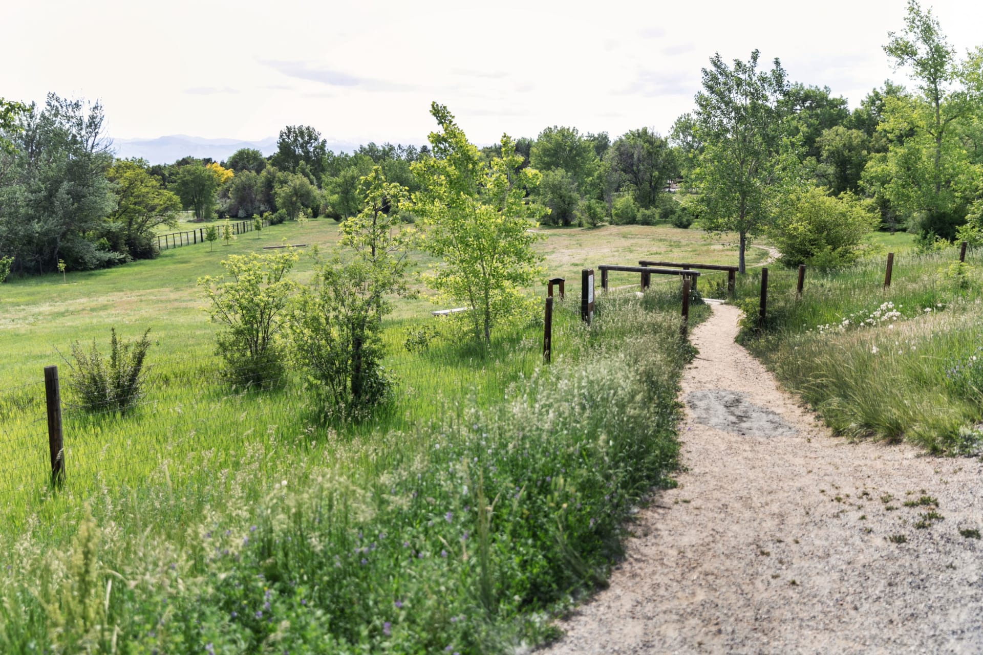 Denver Neighborhood Tour: Welcome to University Hills | Lifestyle & Real Estate | Moving to Denver