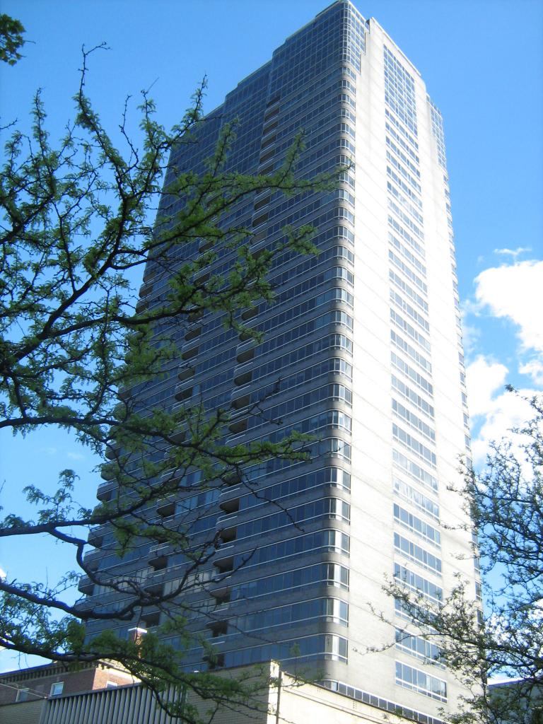 Image Form