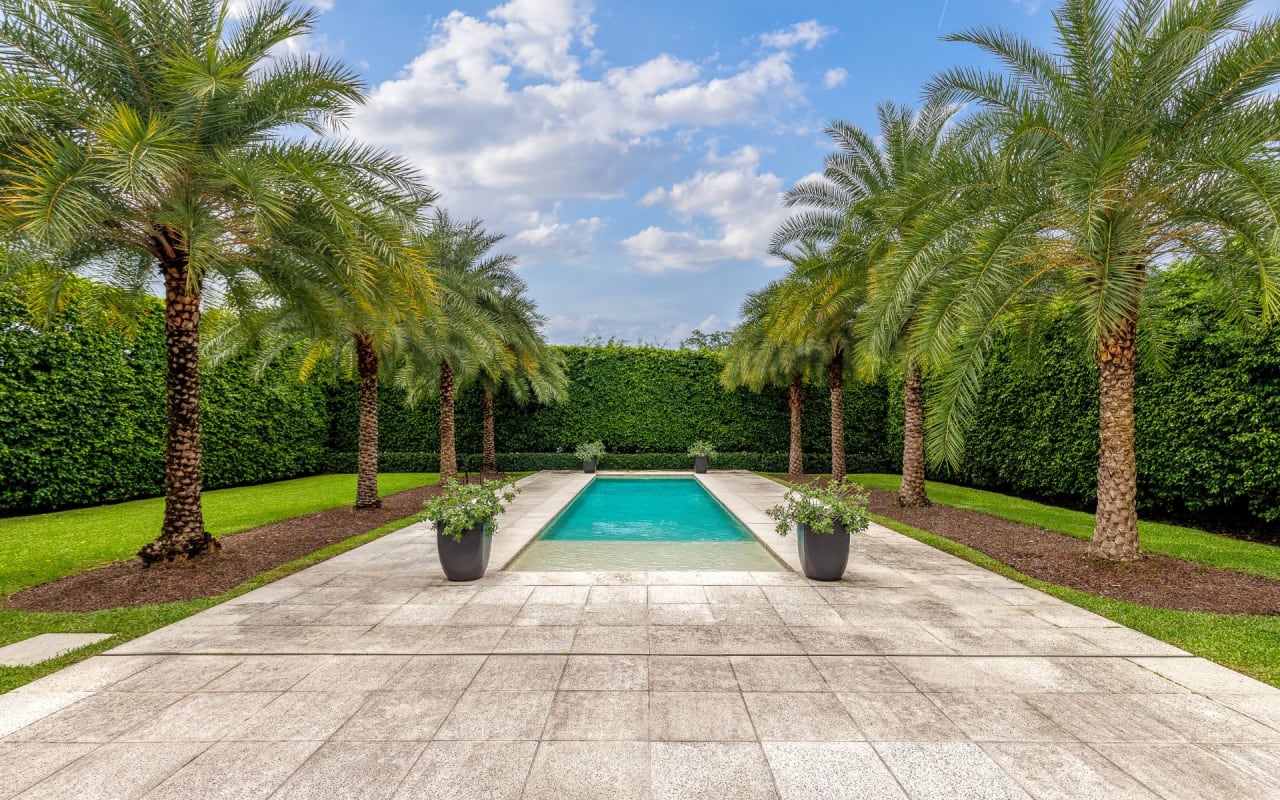 A swimming pool surrounded by palm trees on a sunny day.