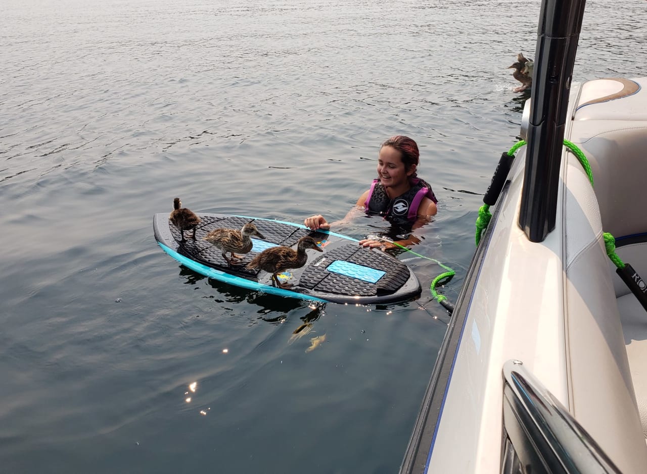 a lady swimming on a lake holding a paddle board with ducks riding on it