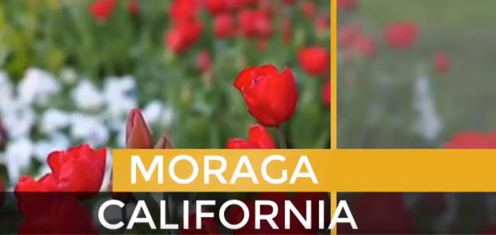 Moraga