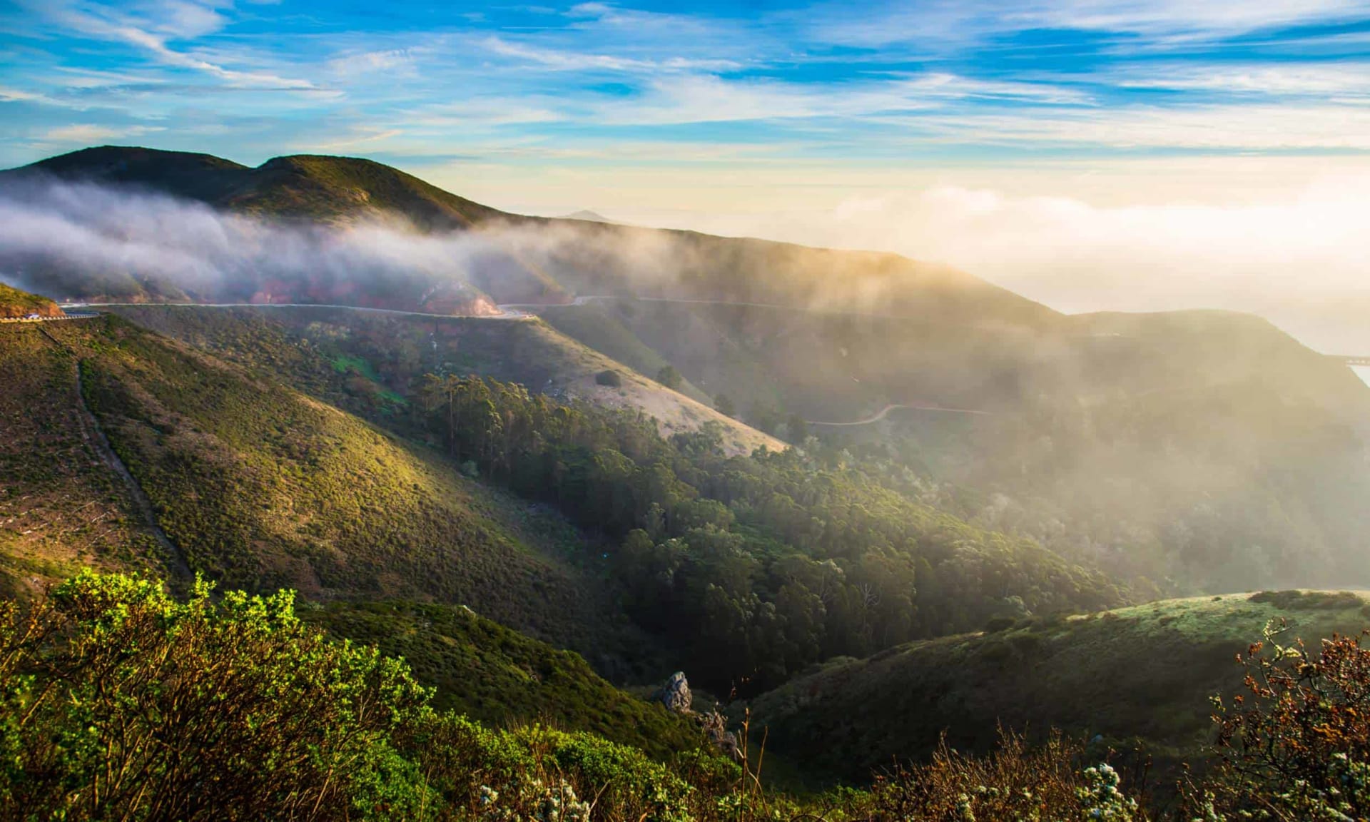 Marin Communities