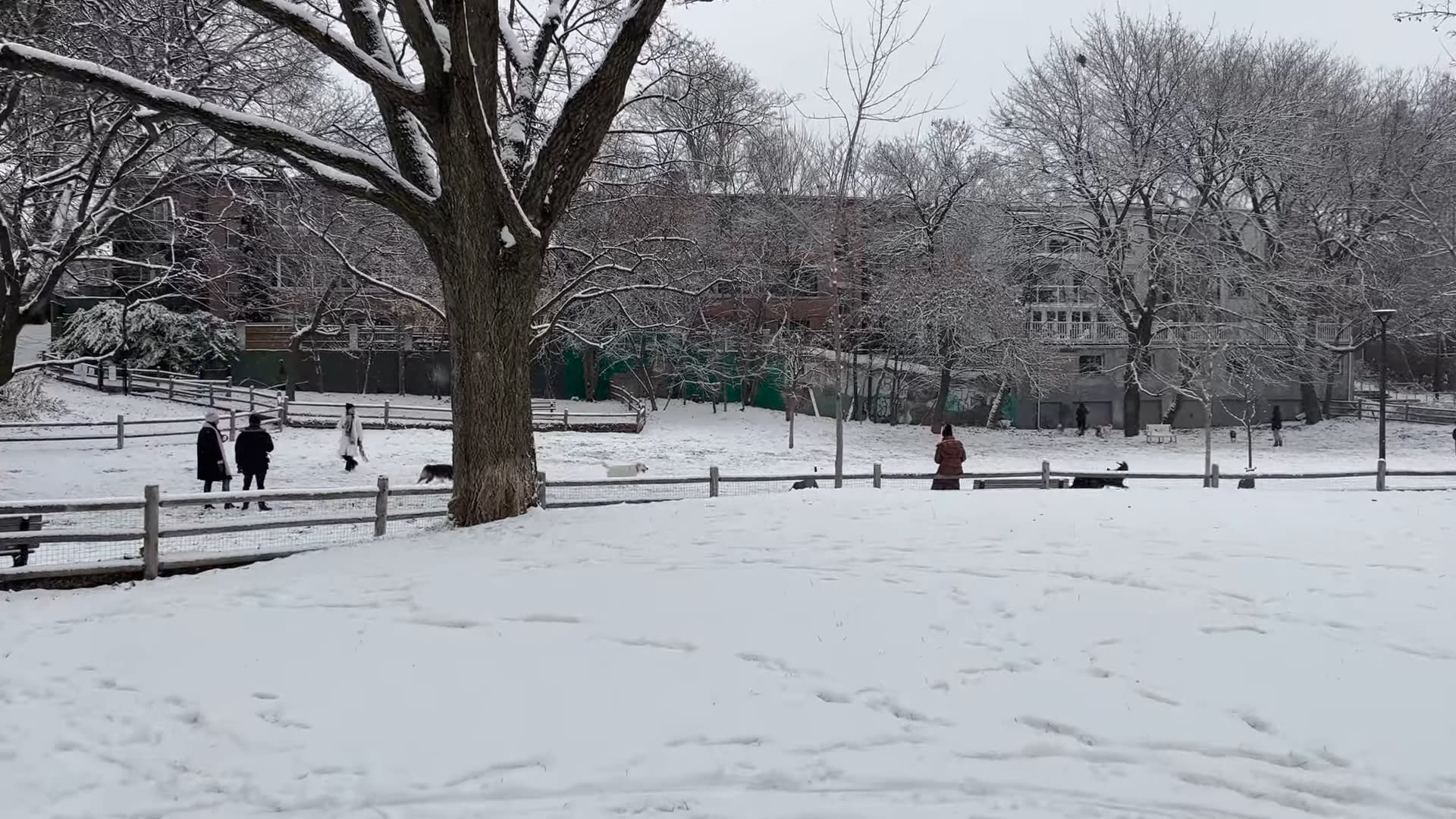 🇨🇦 Snowy Walk of RAMSDEN PARK