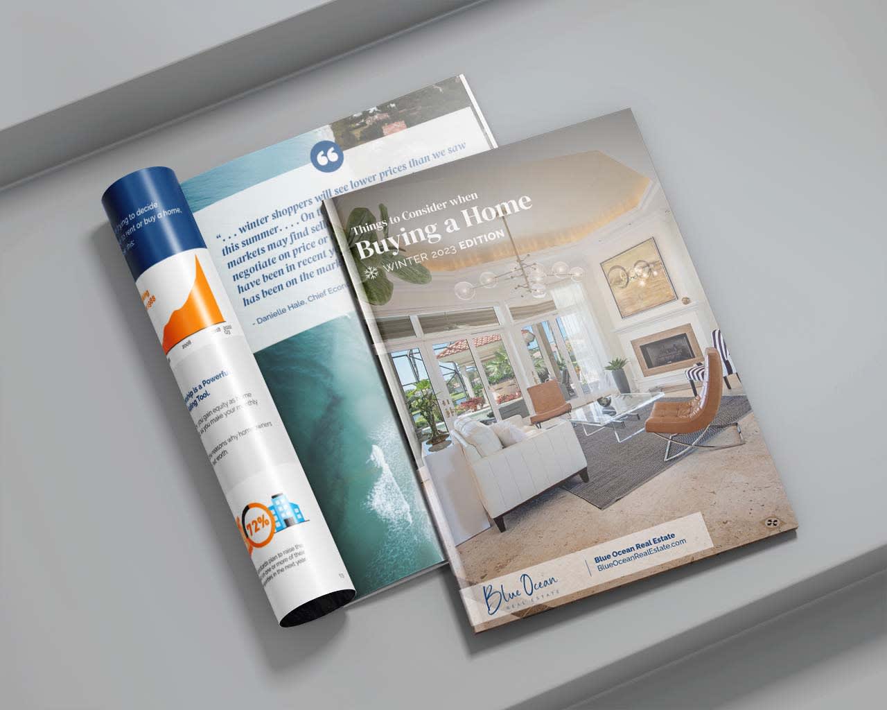 Our Exclusive Blue Ocean Buyer's Guide