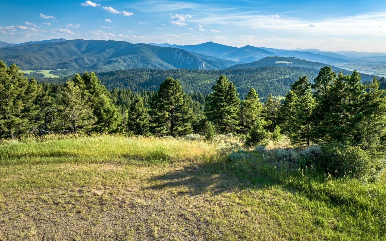 Parcel 2 | North Pass Ranch | Charlotte Durham