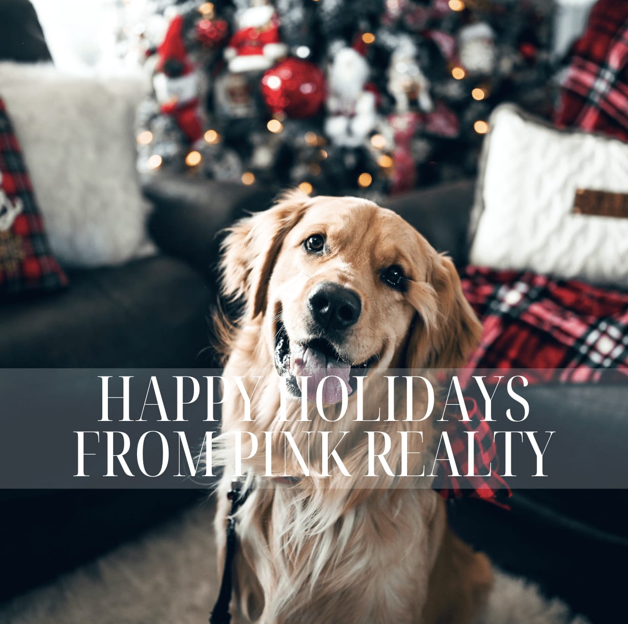 Golden retriever sitting in front of a Christmas tree. Text overlay reads 'Happy Holidays from Pink Realty.'