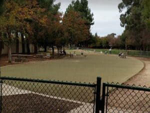 Saratoga Creek Dog Park