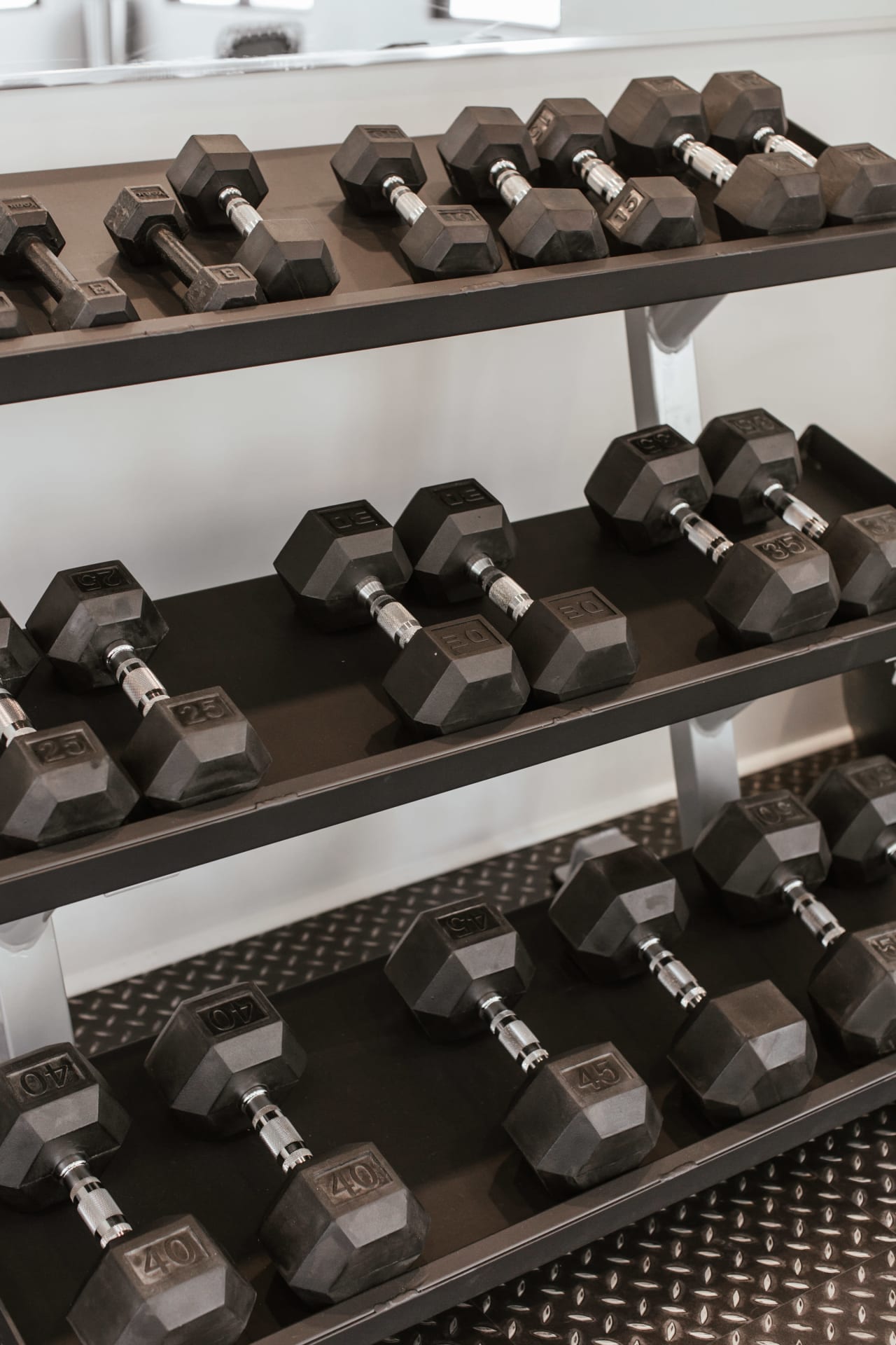 Glenview Gym Dumbbells