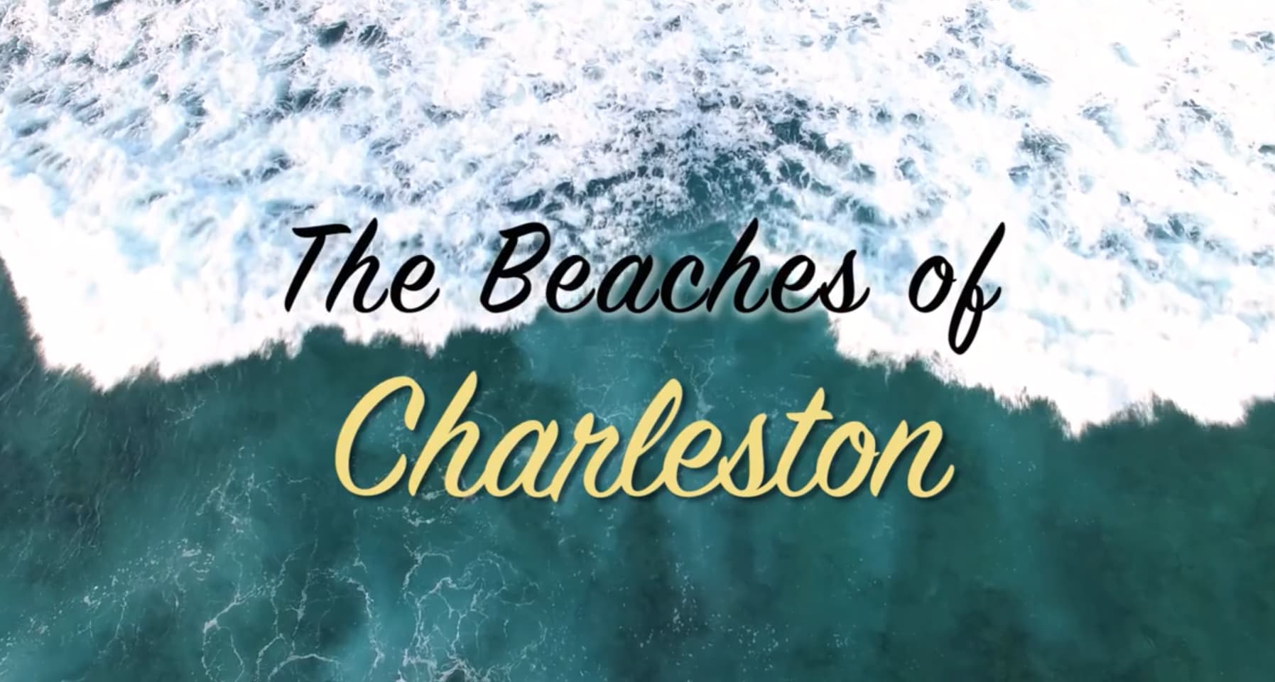 The Beaches of Charleston