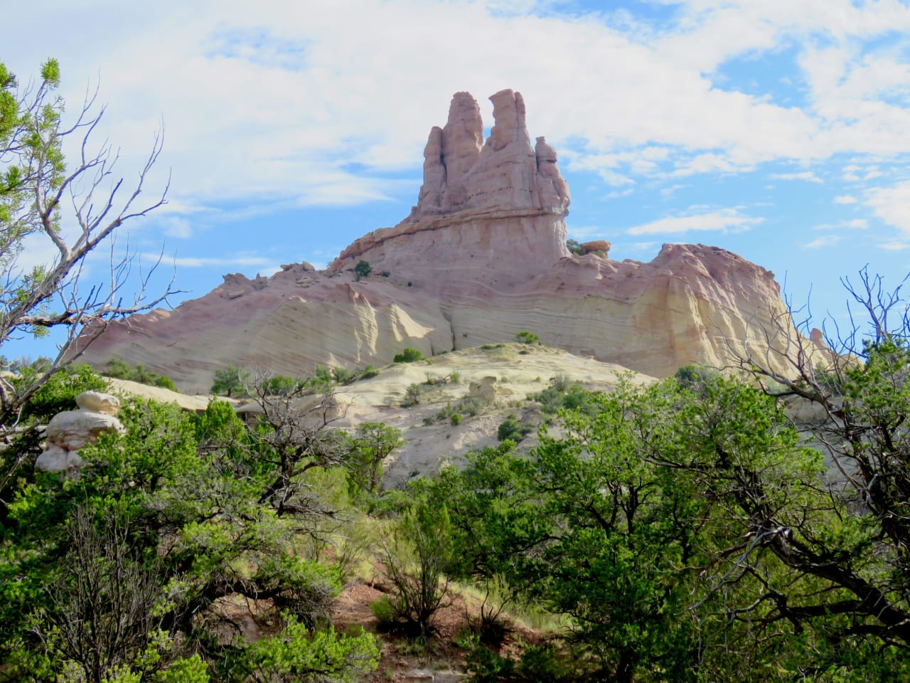 A large rock formation in the middle of a forest.