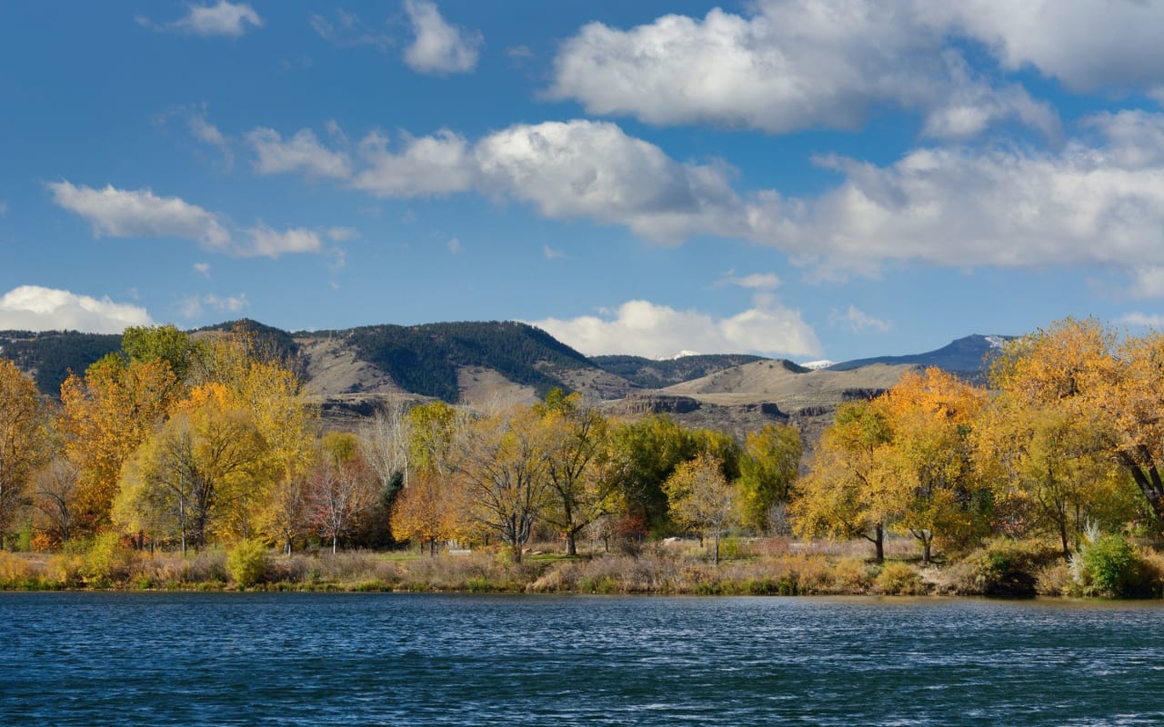 Wheat Ridge, Colorado Real Estate - Caitlin Clough