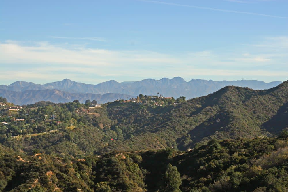 Bel Air View