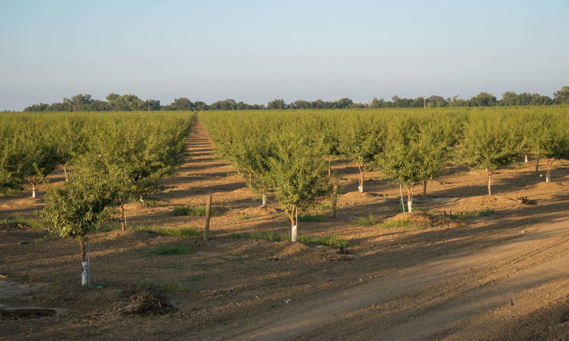 Stanislaus County