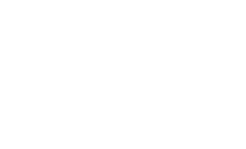 The Pace Team