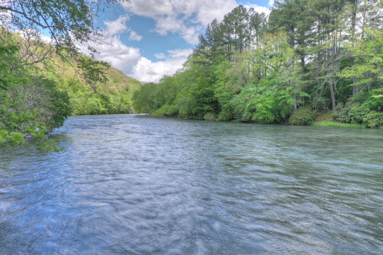 A picture of a river surrounded by trees on a sunny day. 