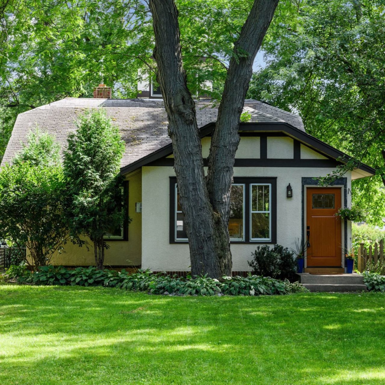 A small cottage-style house with a tree at the front of the window.